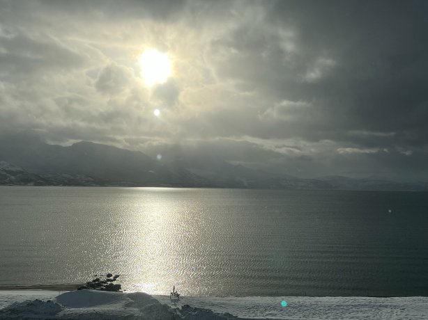 Bjerkvik酒店-官方