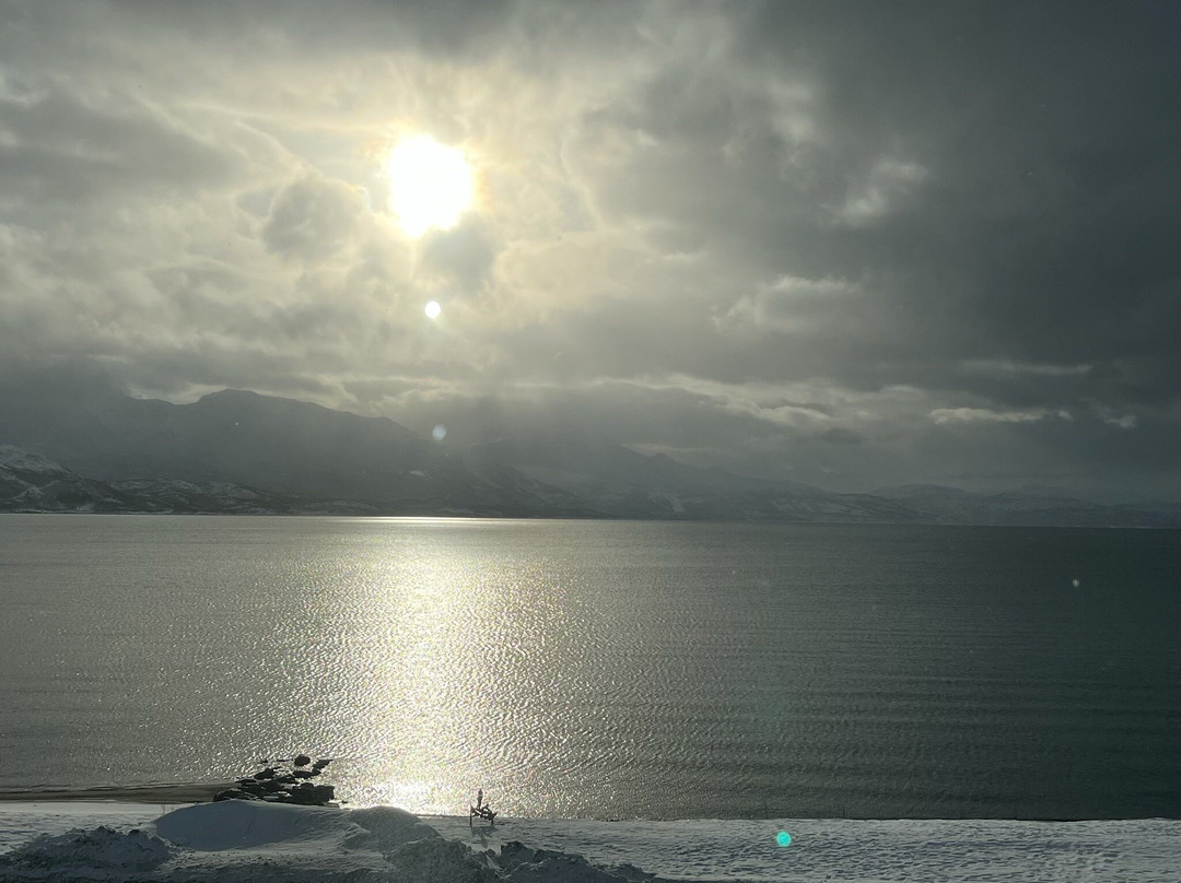 Bjerkvik酒店主图