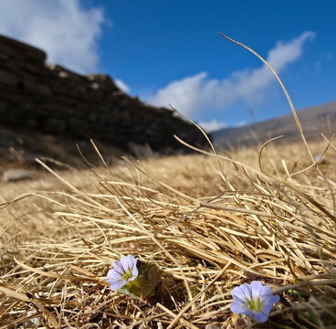 Three Jewels Adventures-加德满都必去景点
