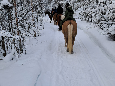 Ruska Laukka-库萨莫必去景点