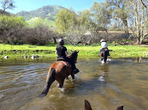 神奇山谷牧场度假酒店主图
