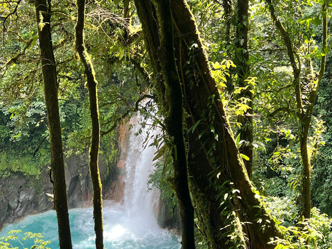 Costa Rica Driver - Tours-圣何塞必去景点