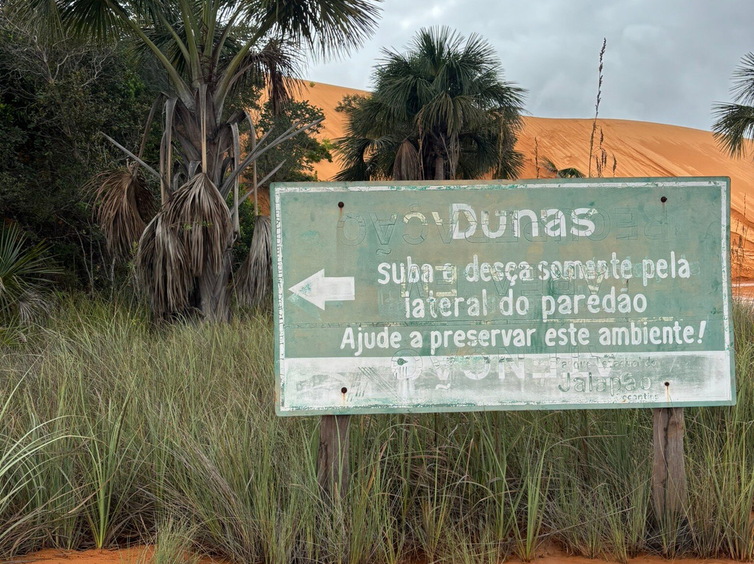 Cerrado Rupestre-Palmas必去景点