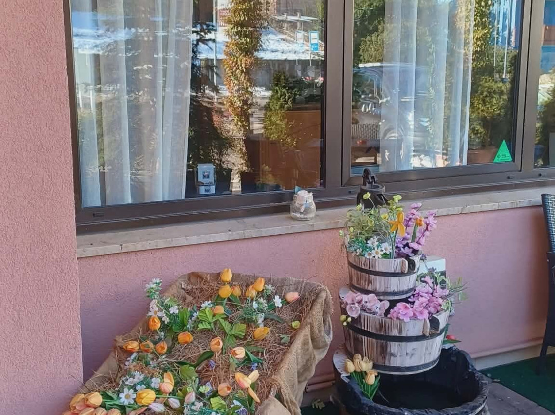 旅馆圣列奥纳多主图