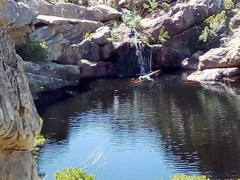 Steenbras River Gorge-高登湾必去景点