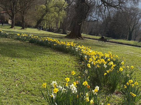 Parc du Chateau de Vizille-Vizille必去景点