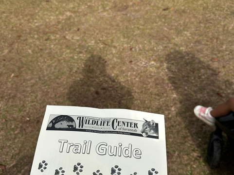 Oatland Island Wildlife Center-萨凡纳必去景点