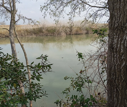 Parco Del Drago-Acilia必去景点