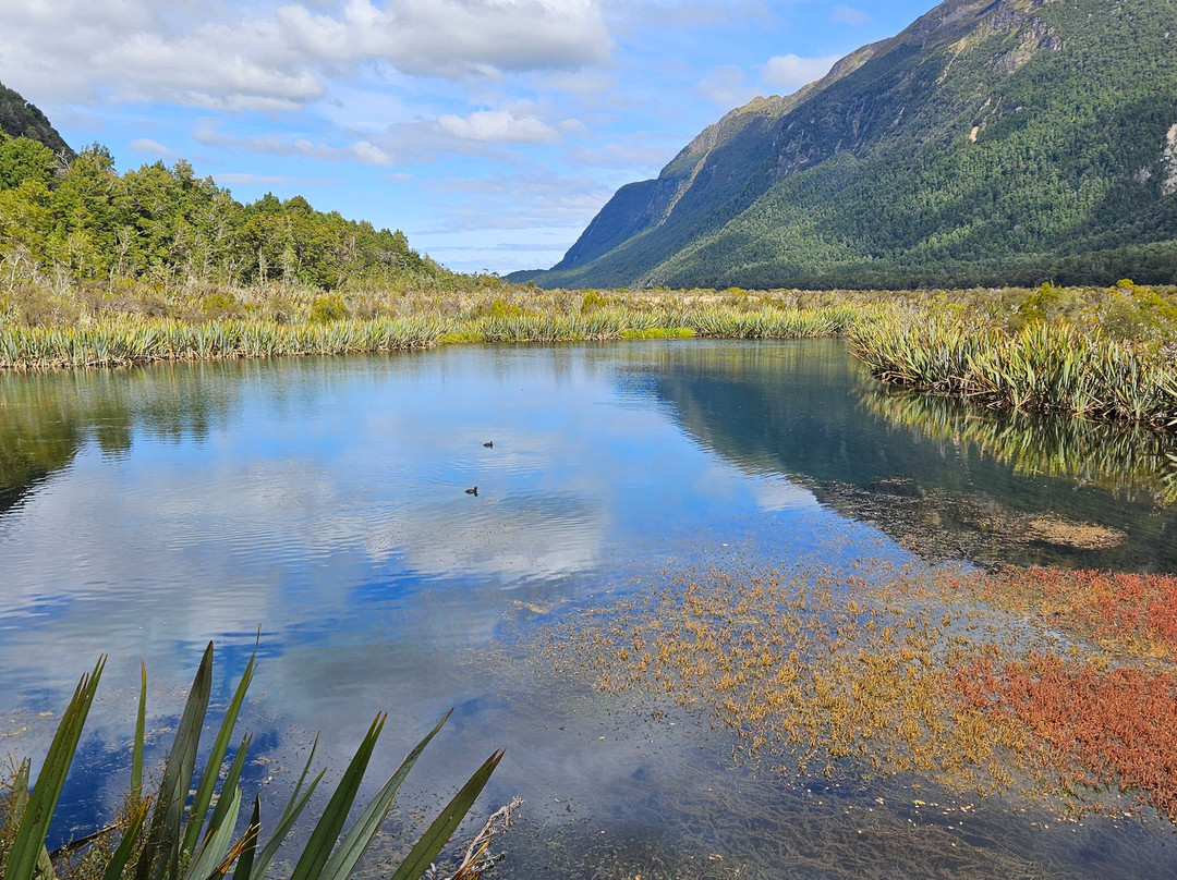Mirror Lakes Walk-Fiordland National Park必去景点