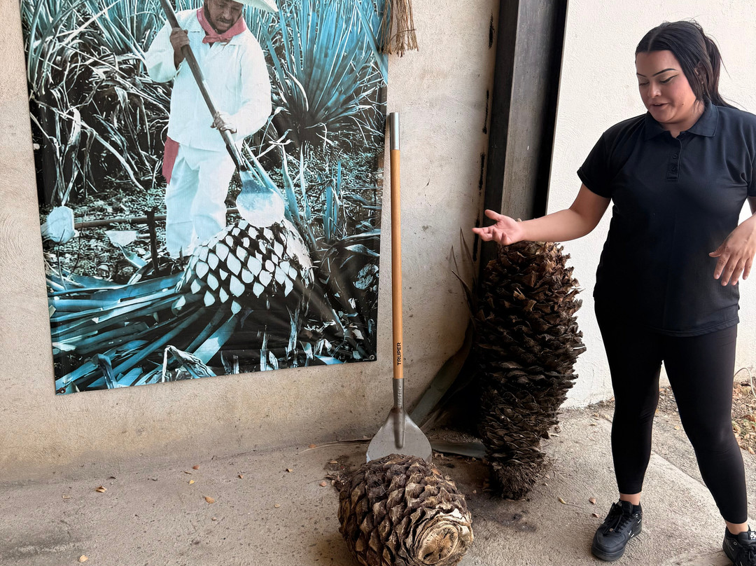 Los 2 Amigos Tequila Museum & Tasting Gallery-La Cruz de Huanacaxtle必去景点