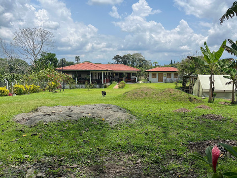 Finca la Alejandra-Montenegro必去景点