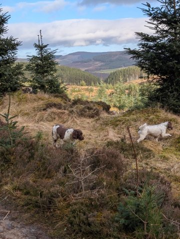 旅屋酒店-印威内斯费尔威斯-官方