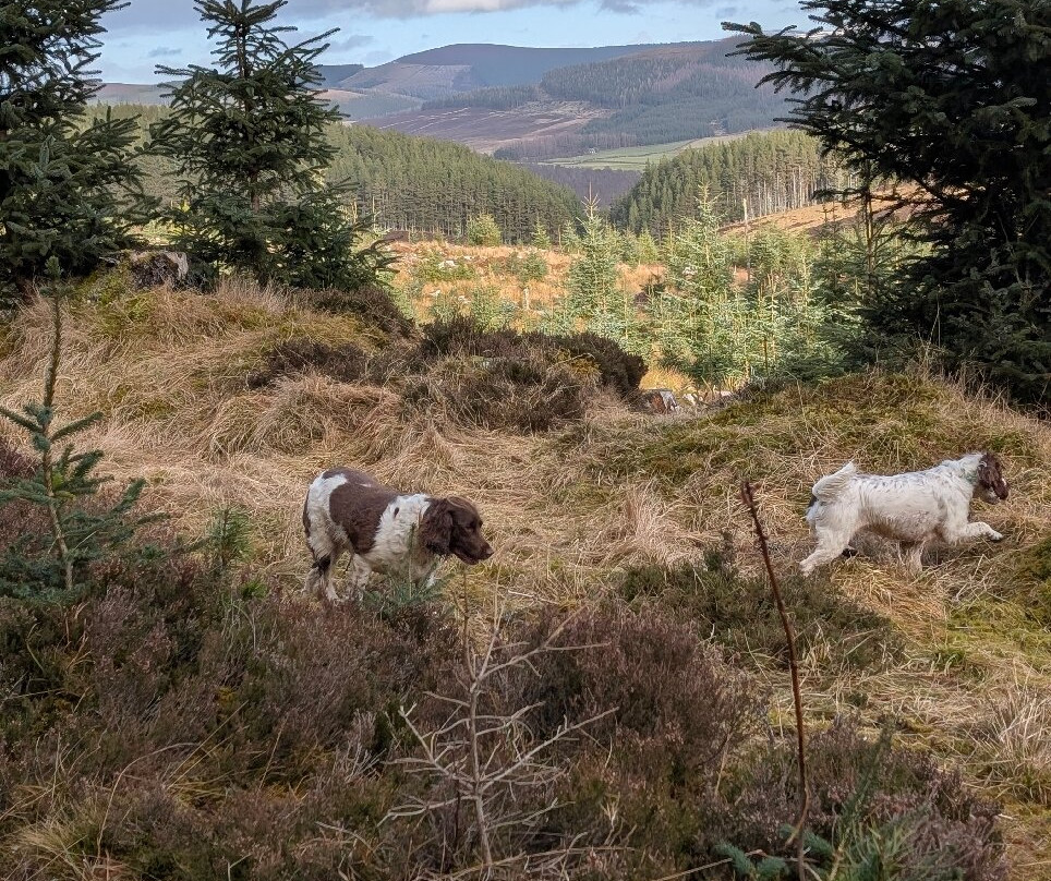 旅屋酒店-印威内斯费尔威斯主图