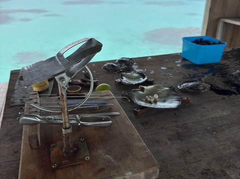 Les Perles D'Havaiki-Fakarava必去景点