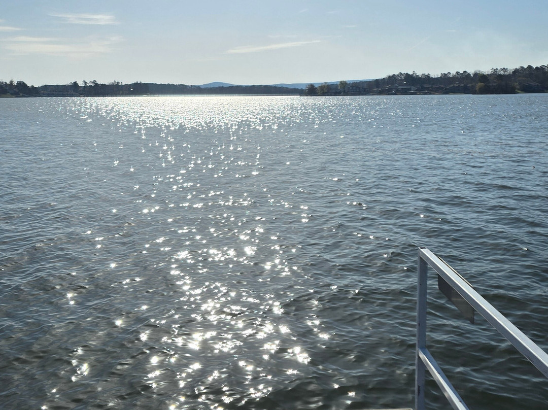 柳树海滩度假村主图