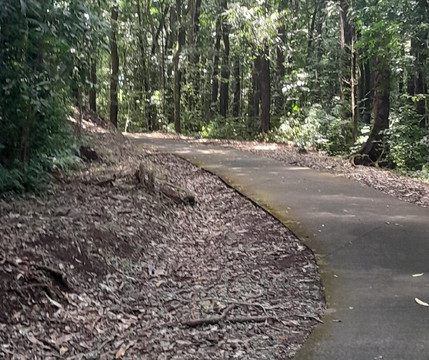 Forêt départementale-domaniale de Montravail-圣吕斯必去景点