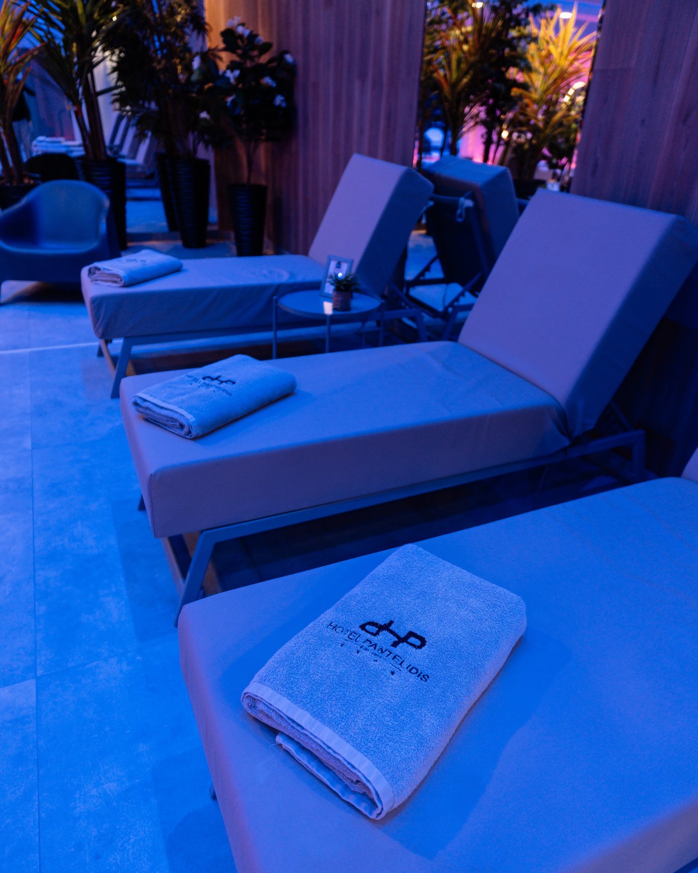 潘特里迪斯酒店-度假村/酒店