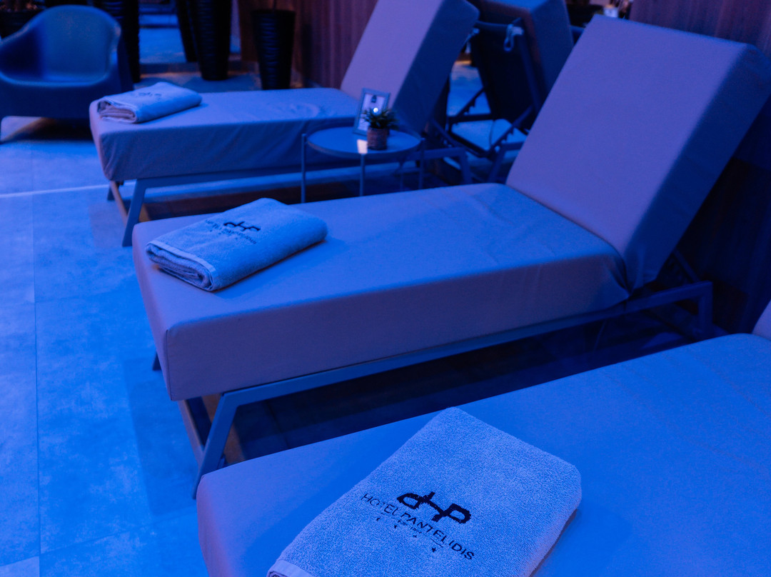 潘特里迪斯酒店主图