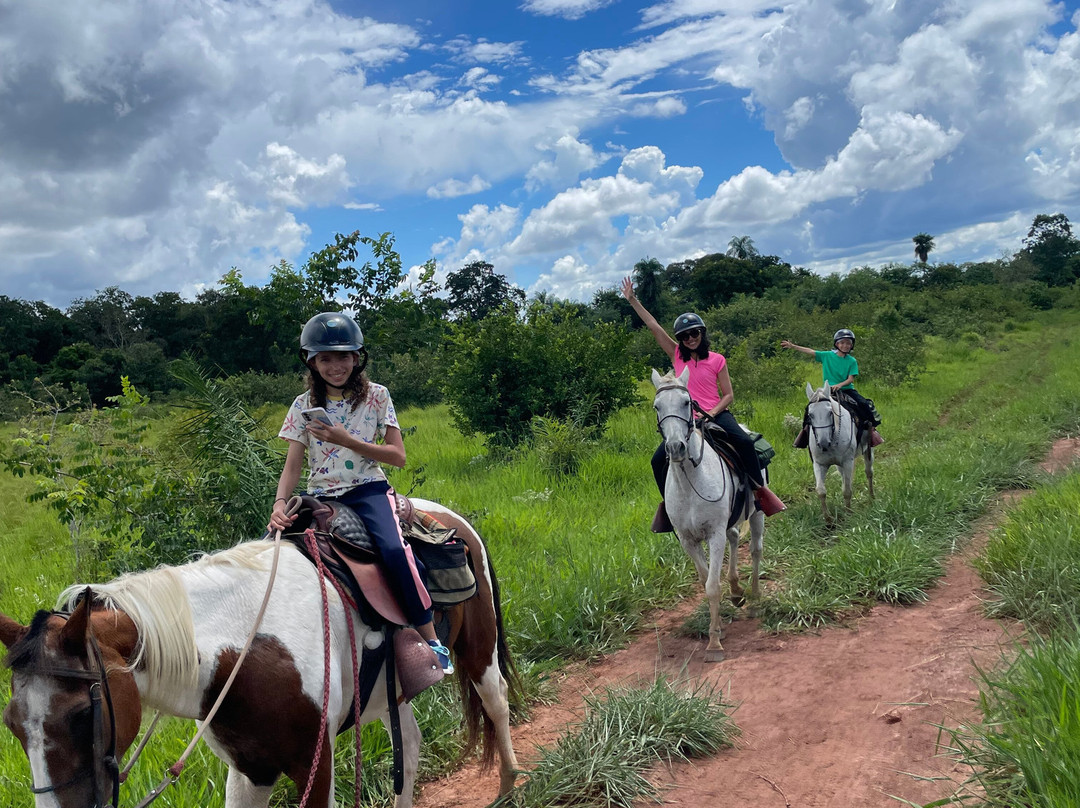 Parque Ecológico Rio Formoso-博尼图必去景点