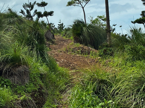 HI Trails HQ-汉密尔顿岛必去景点