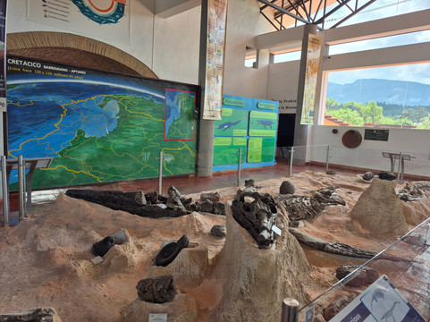 Centro de Investigaciones Paleontologicas - CIP-莱瓦镇必去景点