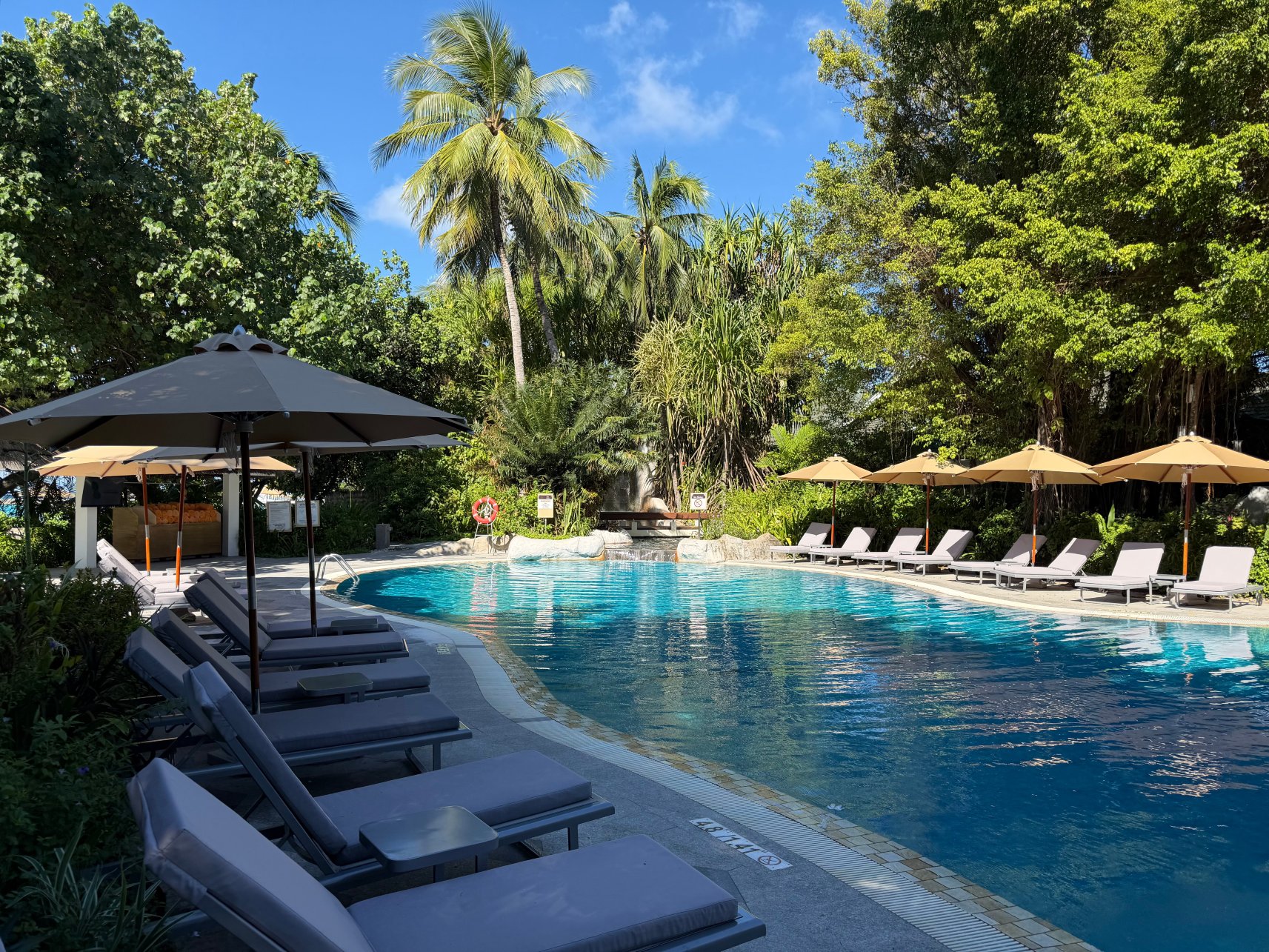 马尔代夫满月岛喜来登水疗度假酒店-泳池