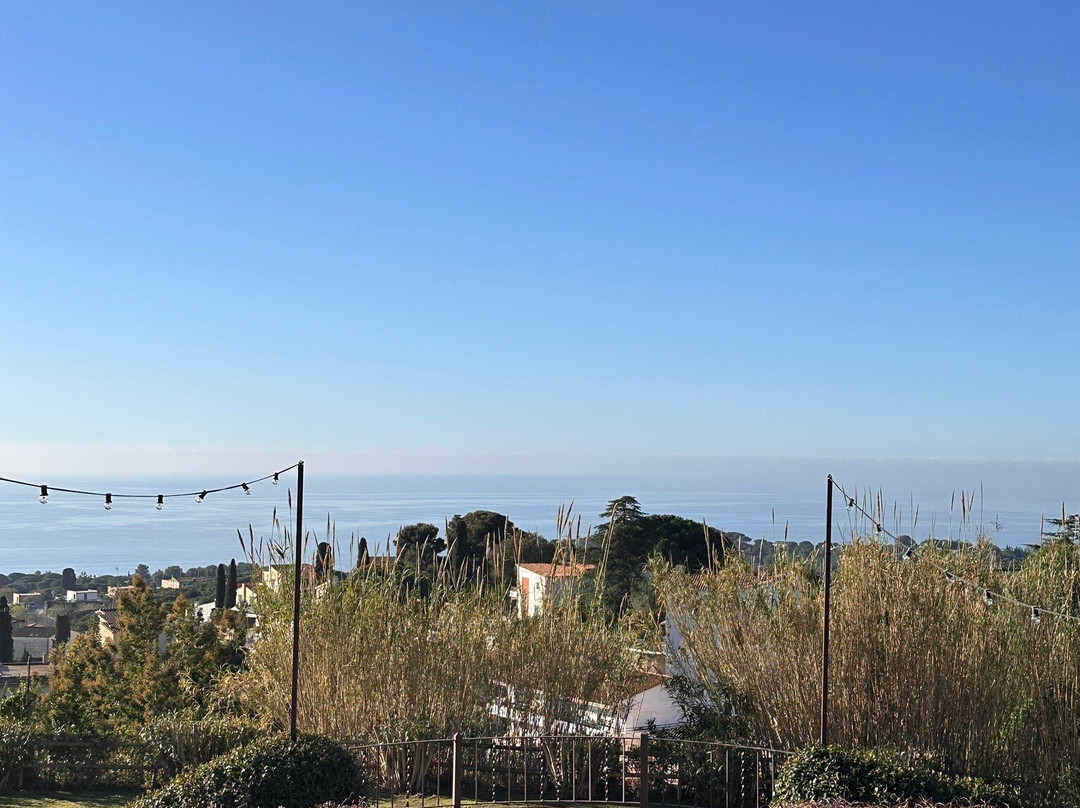 达尔特莫拉酒店主图