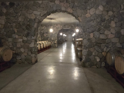 Viñas En Flor Bodega-卡法亚特必去景点