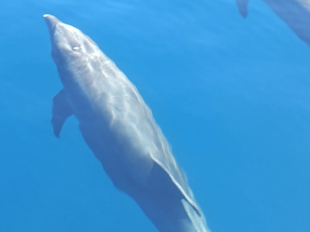 Baja Off Shore-拉巴斯必去景点