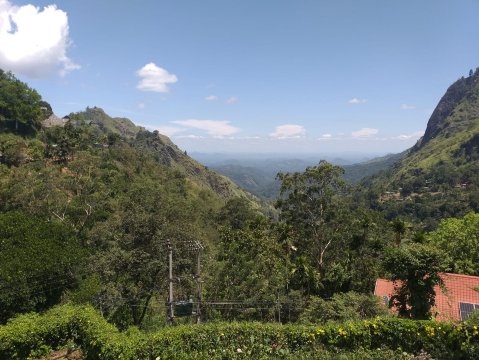 埃勒回声酒店-官方