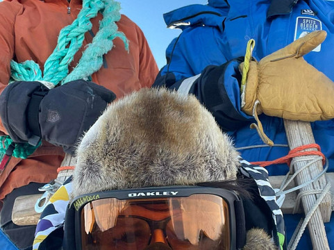 Green Dog Svalbard-朗伊尔城必去景点