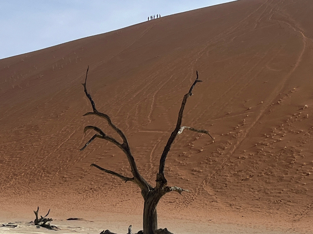 Deadvlei-苏丝斯黎必去景点