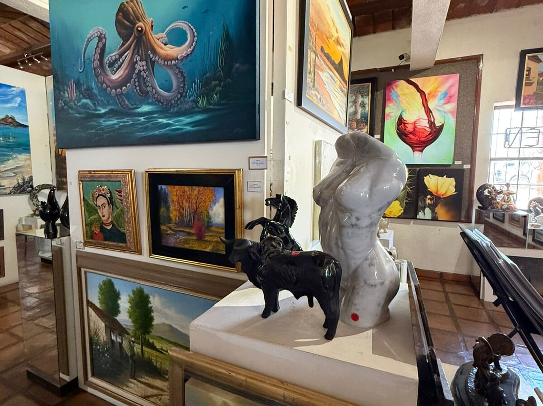 Galeria Bellas Artes San Carlos-圣卡洛斯必去景点