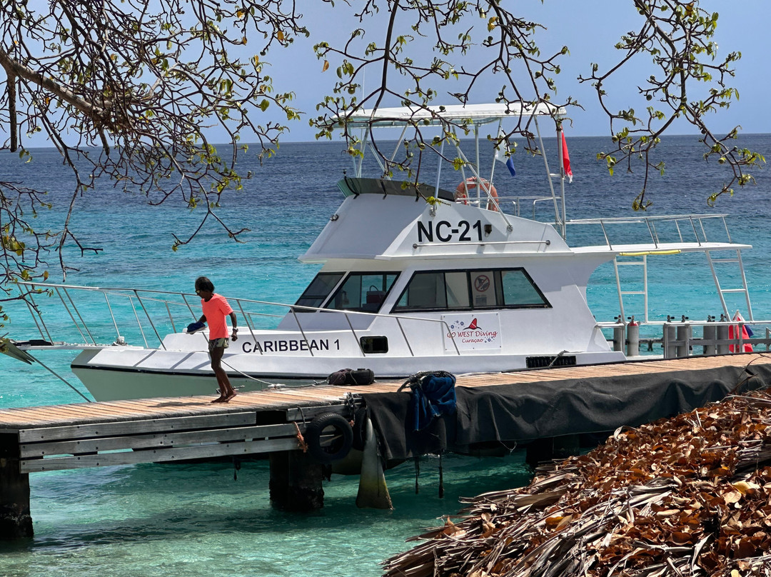 GO WEST Diving-Sabana Westpunt必去景点