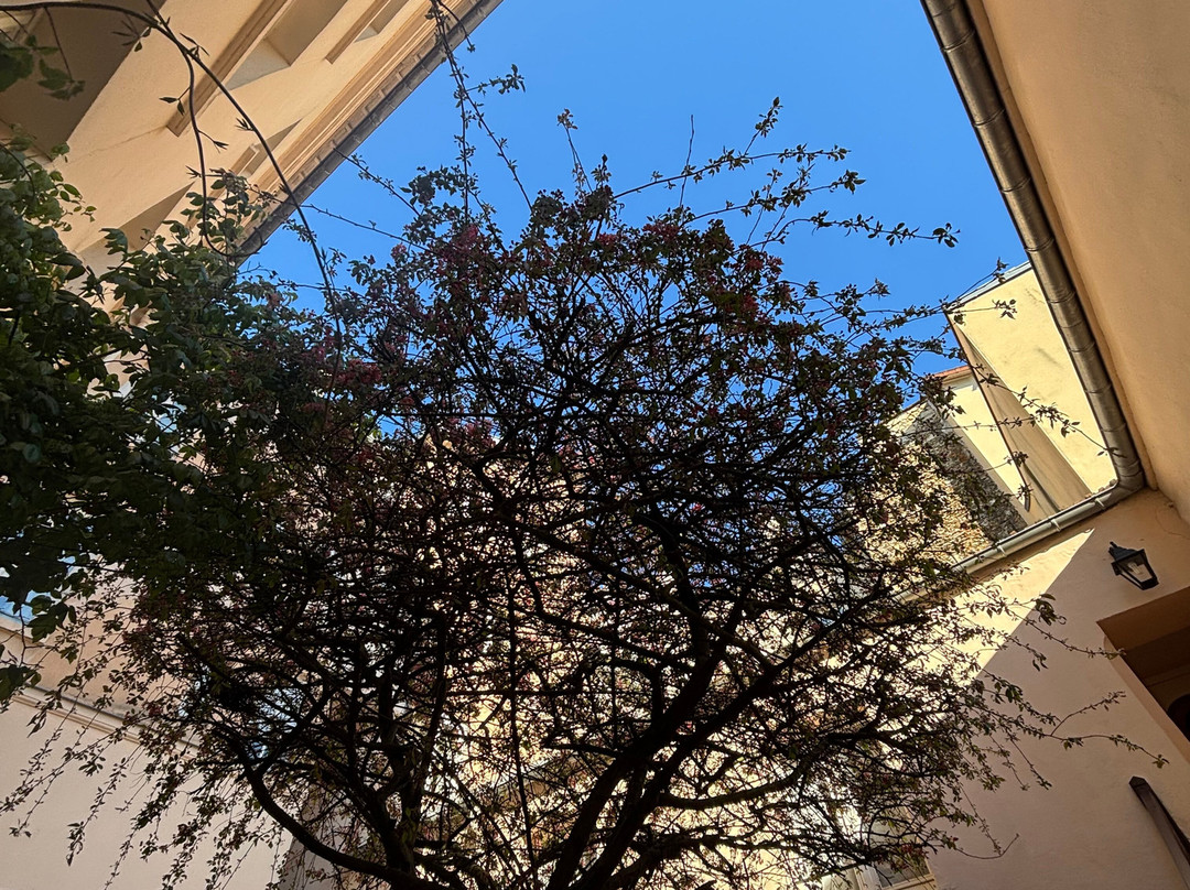 都贝瑞住宅酒店主图