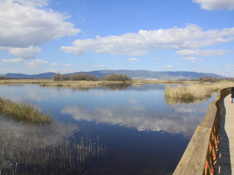 Parque Nacional de las Tablas de Daimiel-Daimiel必去景点
