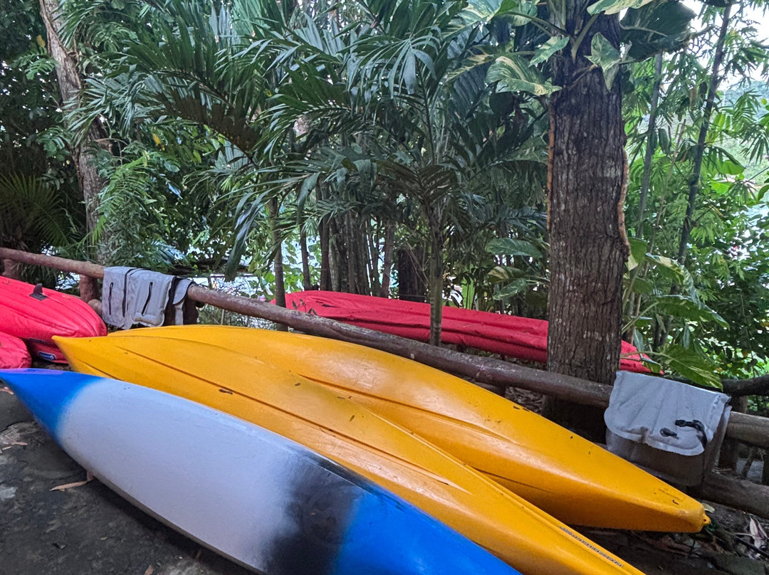 薄荷岛Kayakasia水上之旅-Maribojoc必去景点