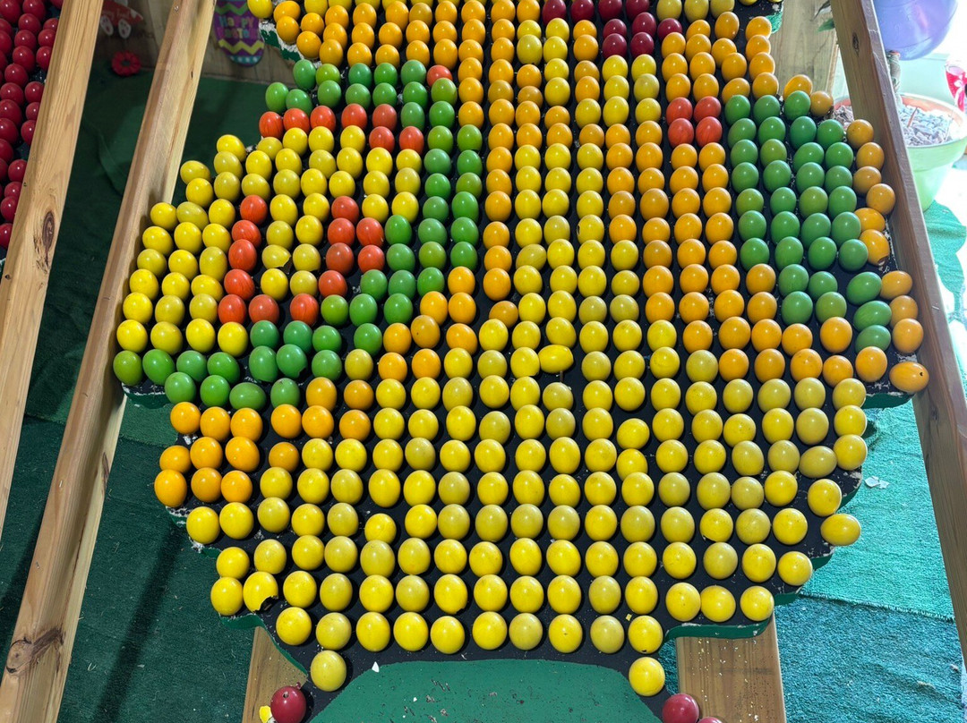 Eddy Fruit Farm-Chesterland必去景点
