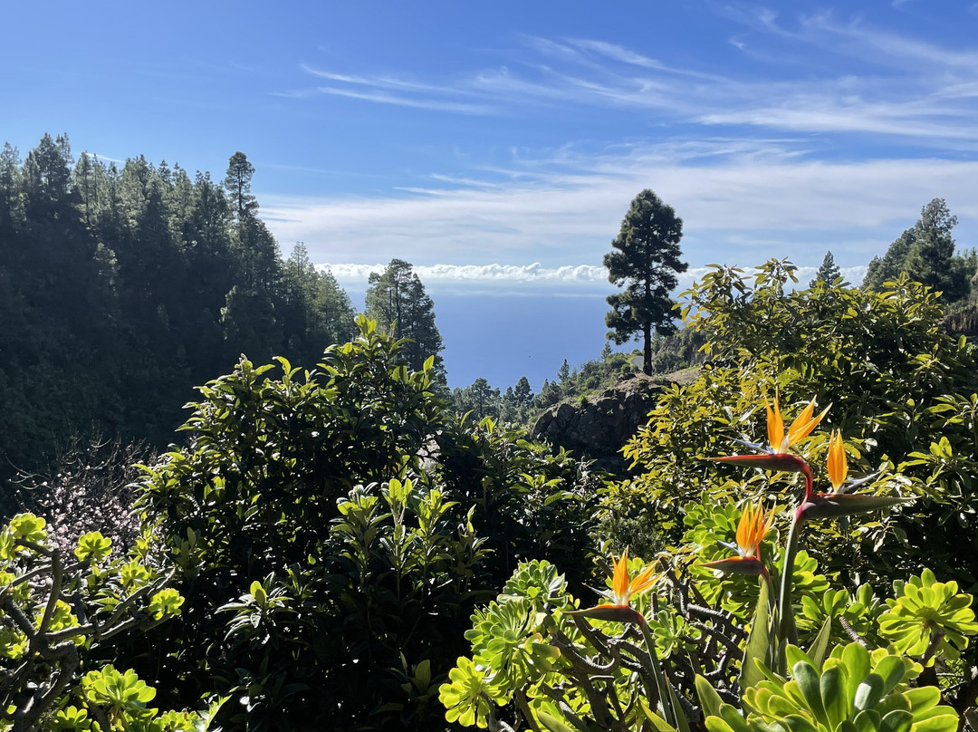 Vidyamor Yoga Retreats Canary Islands-Tijarafe必去景点