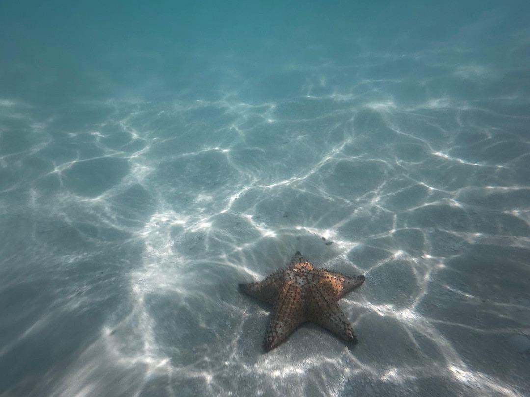 Italcruise-Bayahibe必去景点