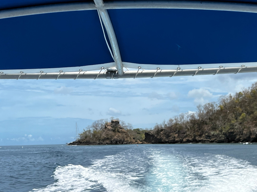 Scuba West Indies - Grenada-St. George's必去景点