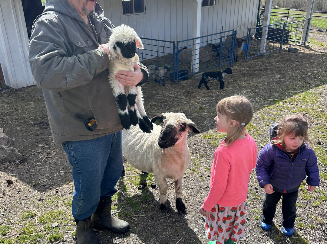 Amaro Farm-星期五港湾必去景点