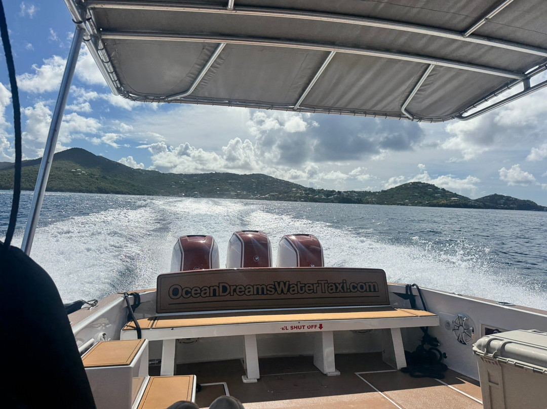 Ocean Dreams Water Taxi-Red Hook必去景点