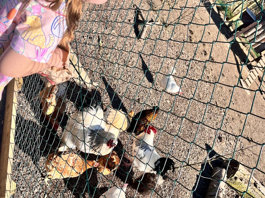 Quince Honey Farm-South Molton必去景点