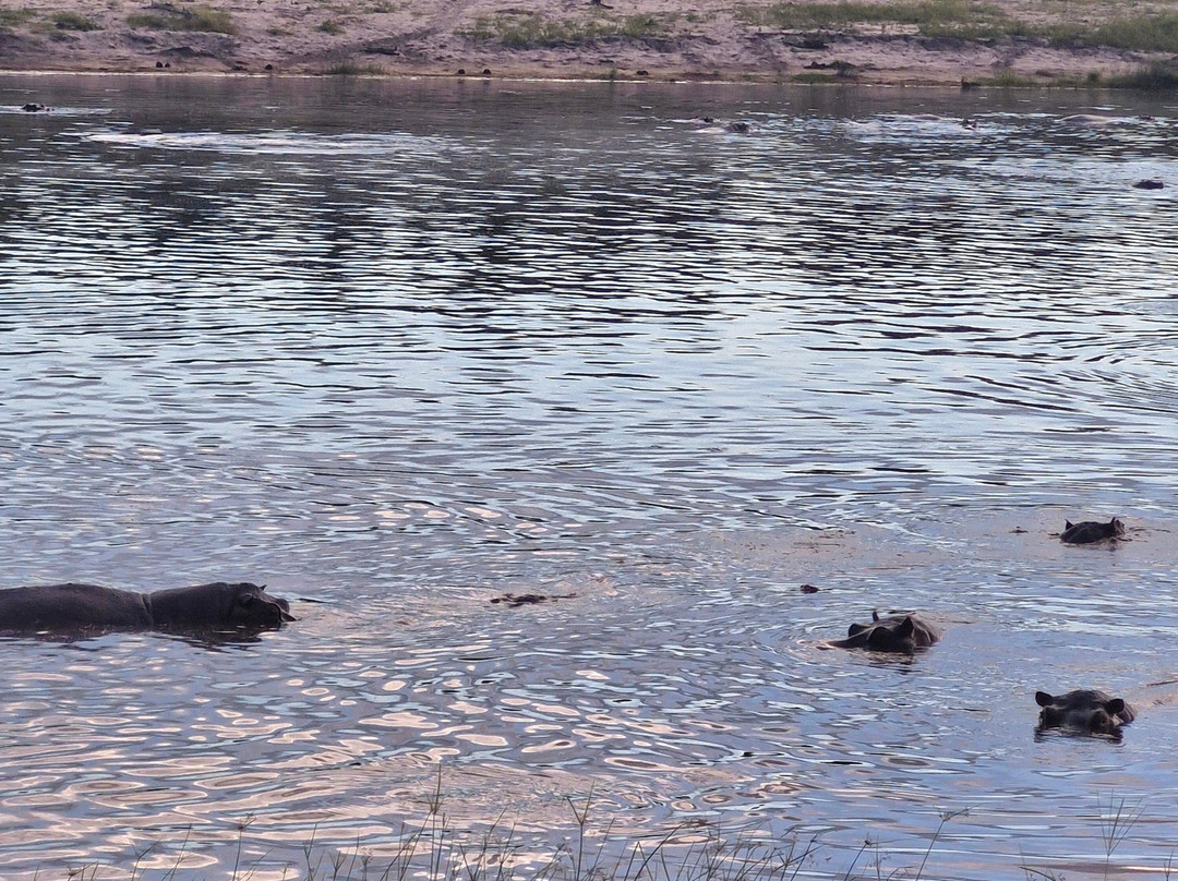 Rhino Africa Safaris-开普敦中心区必去景点