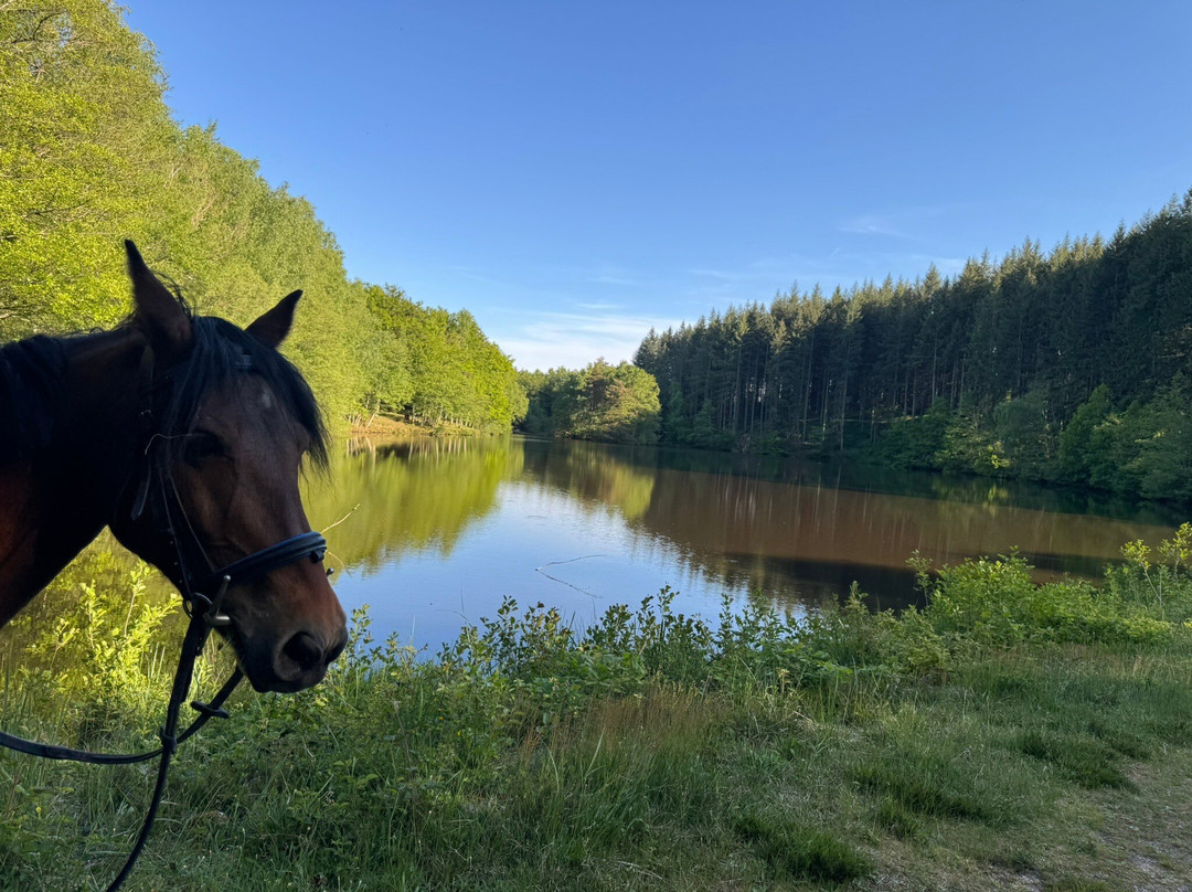 CENTRE ÉQUESTRE DE SAULIEU