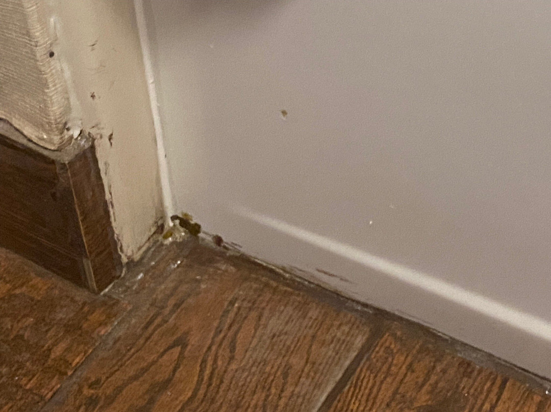 贝斯特韦斯特克隆尼阿尔酒店主图