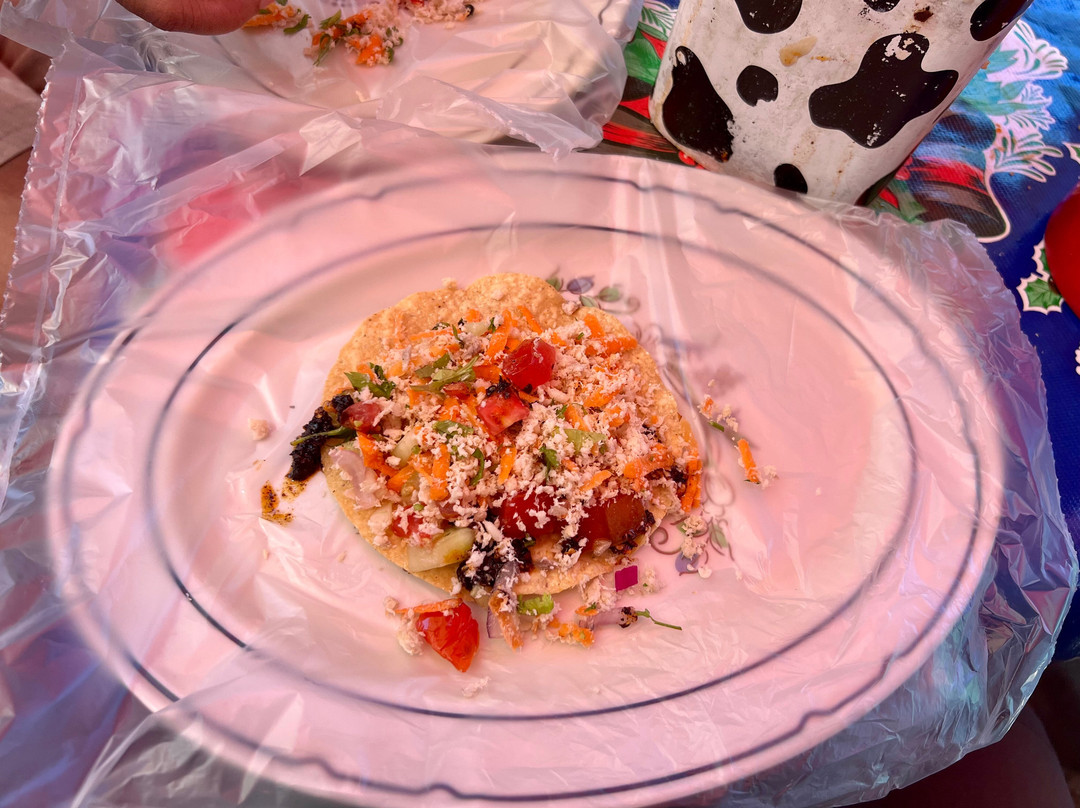 Vallarta Food Tours-瓦拉塔港必去景点