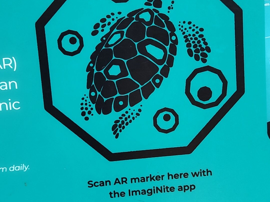 Sentosa SensoryScape-新加坡必去景点