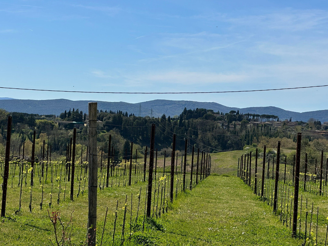 Madonnabella Winery & Wine Shop-锡耶纳必去景点